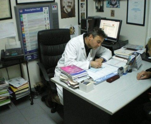 veterinario scrive ricetta medica
