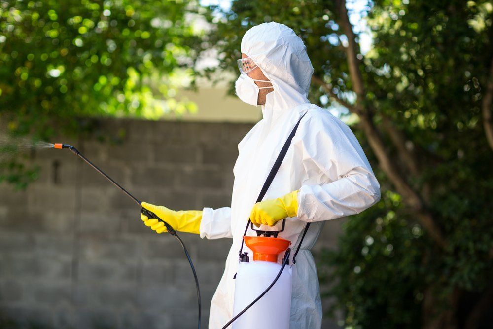 ASAP Vermin Control, Dedicated Team