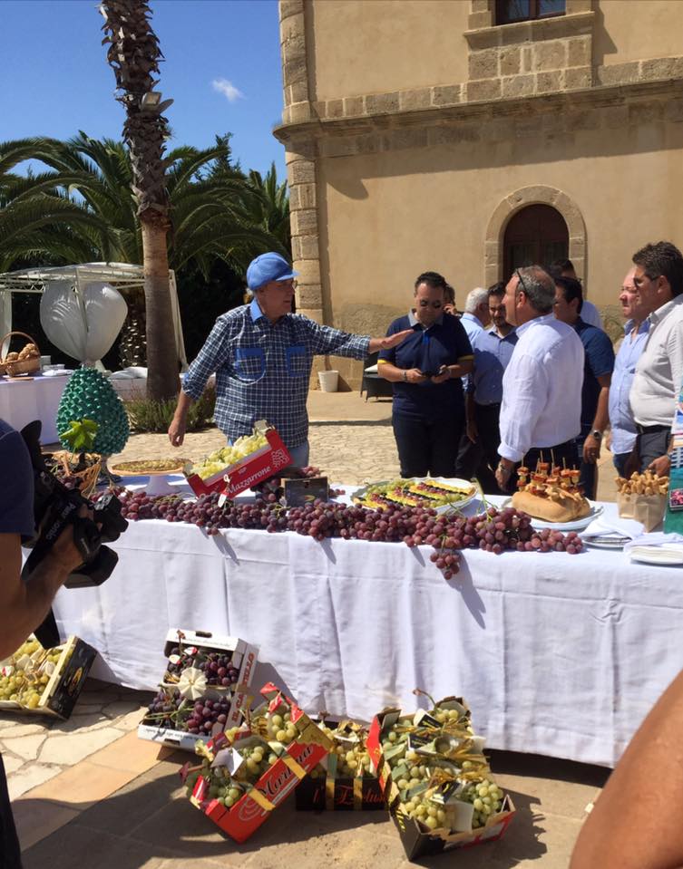 degustazione di uva con buffet