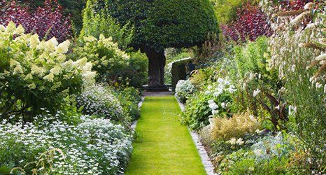Dedicated gardening services