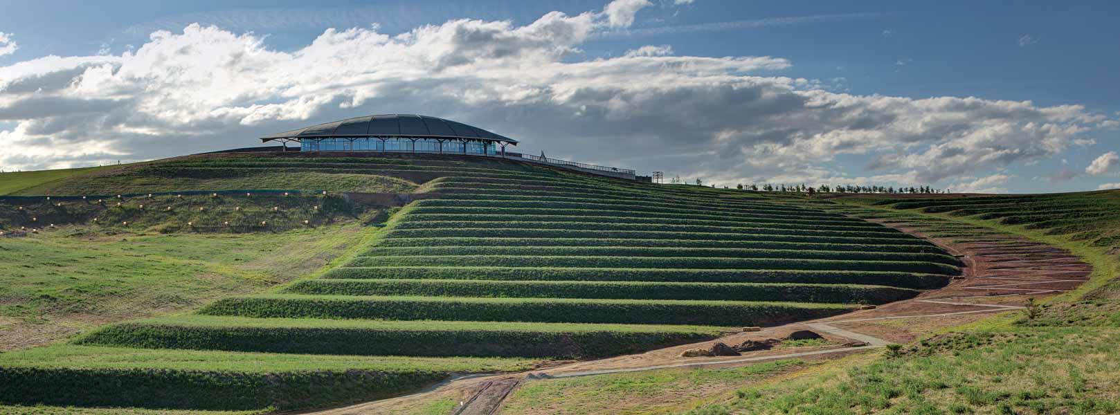 Terraced vineyard on a green hillside under a cloudy blue sky