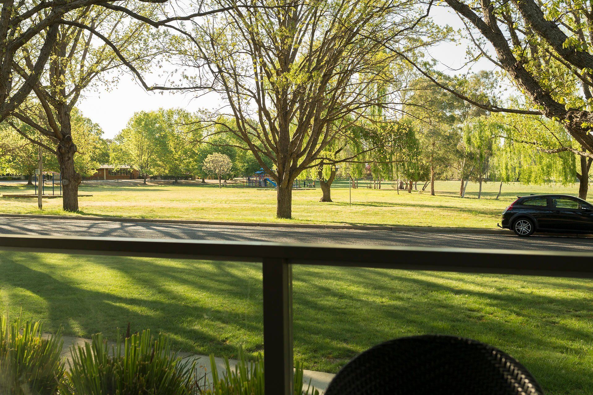 Park with leafless trees, grassy field, and a black car on the road beyond a railing.