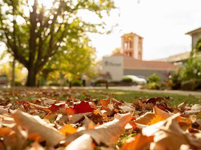Autumn leaves scattered on the ground in a sunlit park with trees and buildings in the background