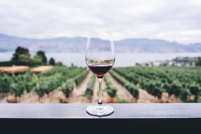 Wine glass on a ledge overlooking vineyard rows and distant hills