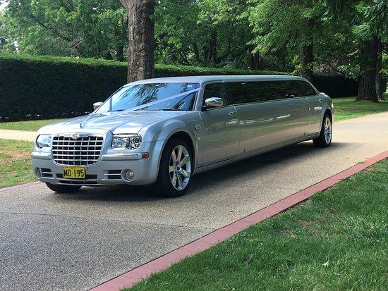 Silver limousine parked on a tree-lined street beside a curb and grassy lawn