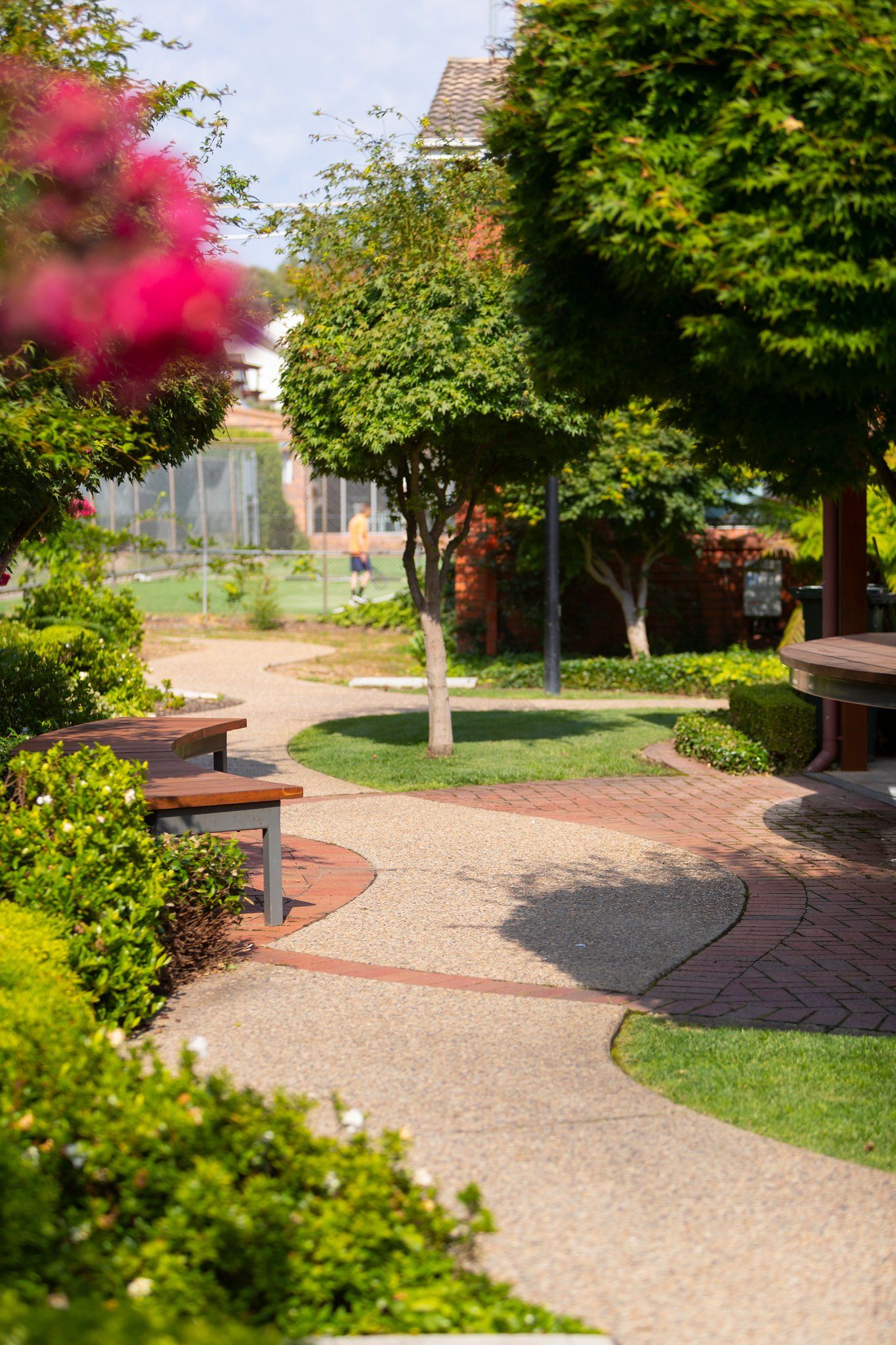 Sunlit garden path with benches, flowering shrubs, and leafy trees