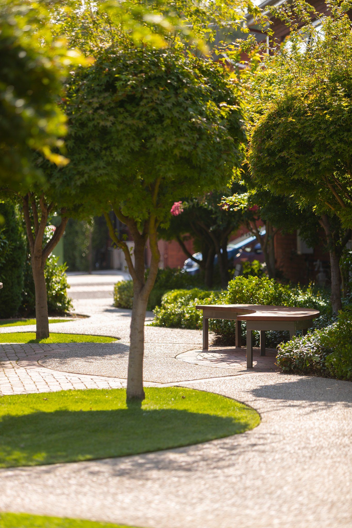 Sunlit garden path with trimmed trees, green grass, and a wooden bench in the shade