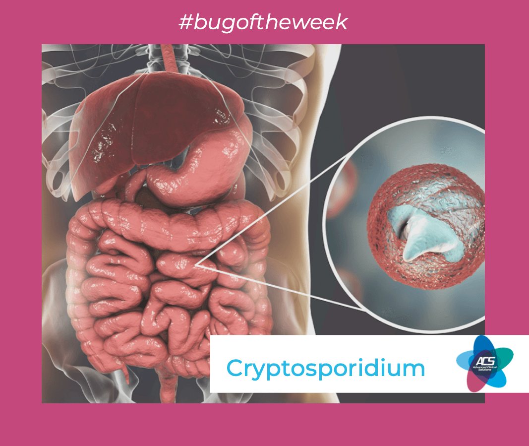 Cryptosporidium