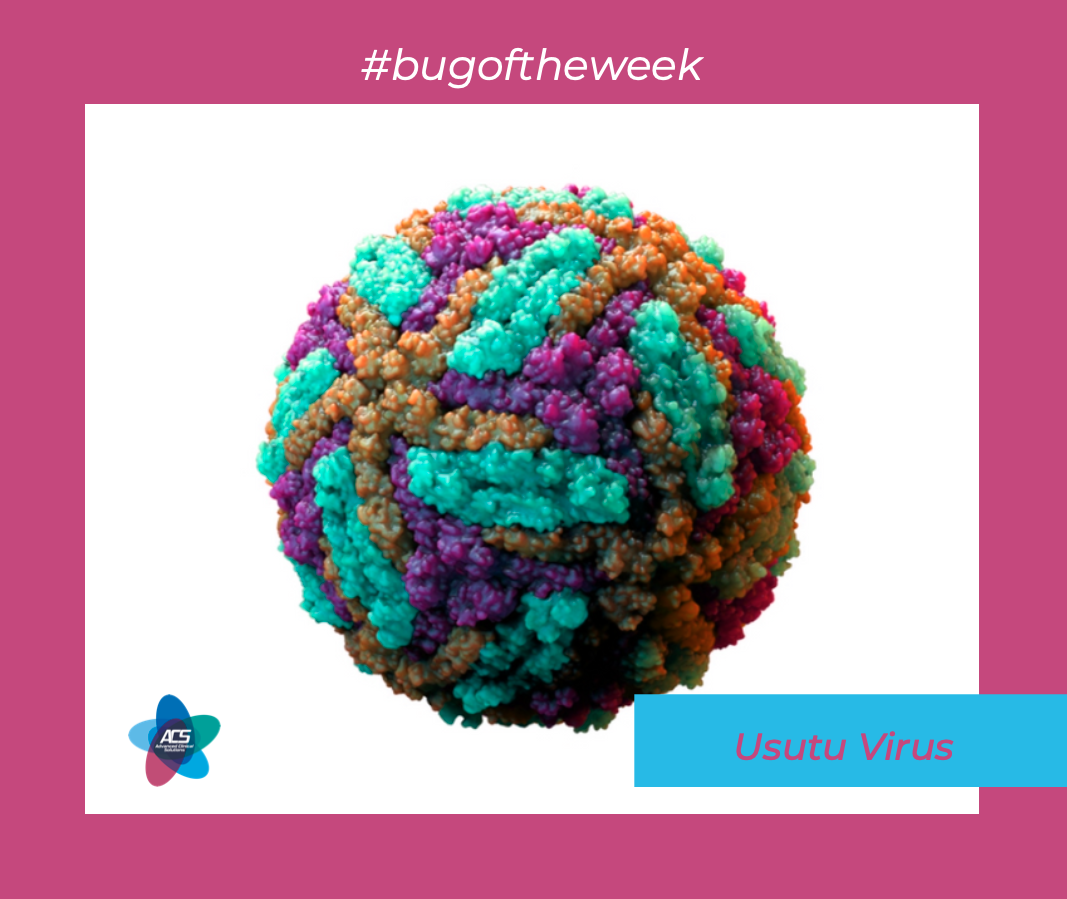 Usutu virus (USUV)