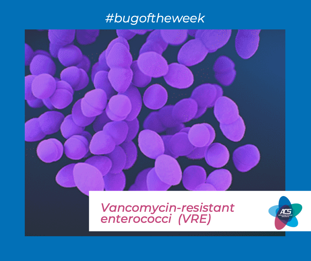 Vancomycin-resistant enterococci (VRE)
