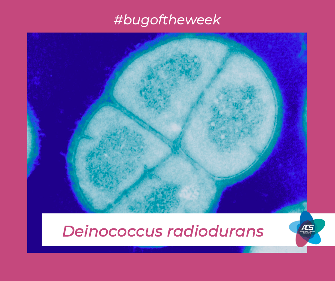 Deinococcus radiodurans