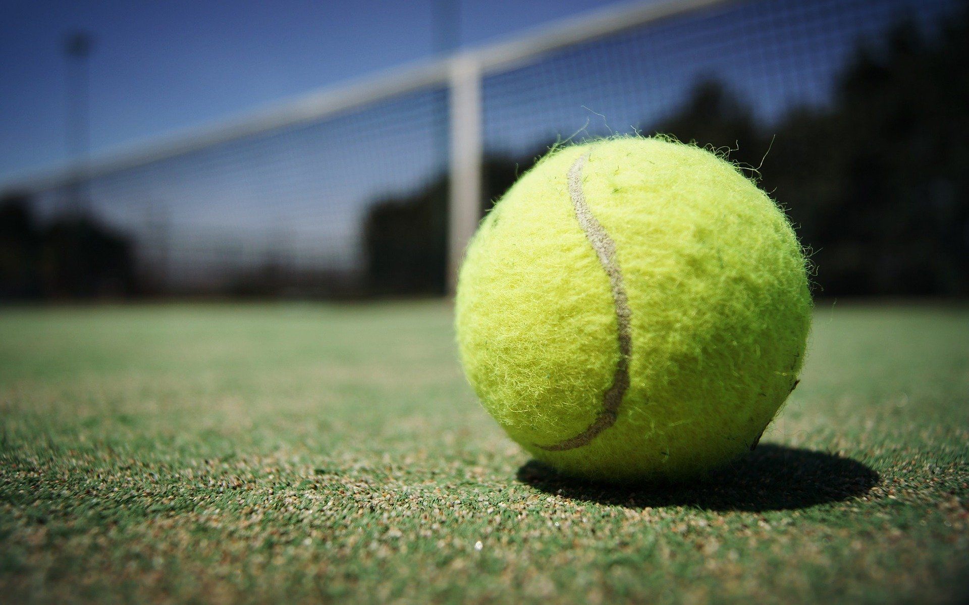 Just a lonely tennis ball