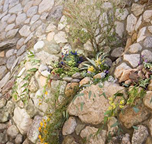 Catalina Rock Retaining Wall with Planter Catalina Rock Retaining Wall with Planter