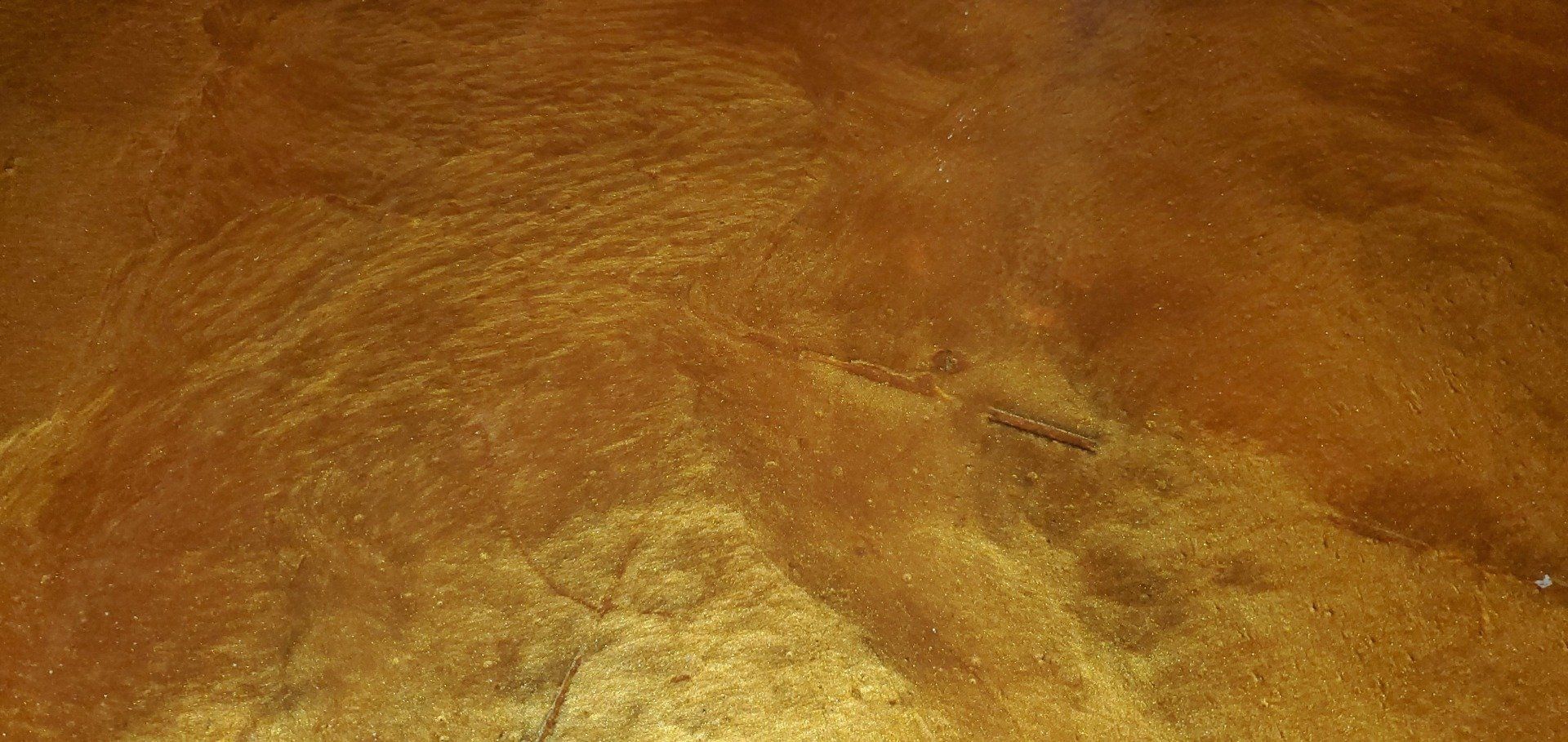 Golden-brown close-up of a textured, fur-like surface with a small dark mark near the center