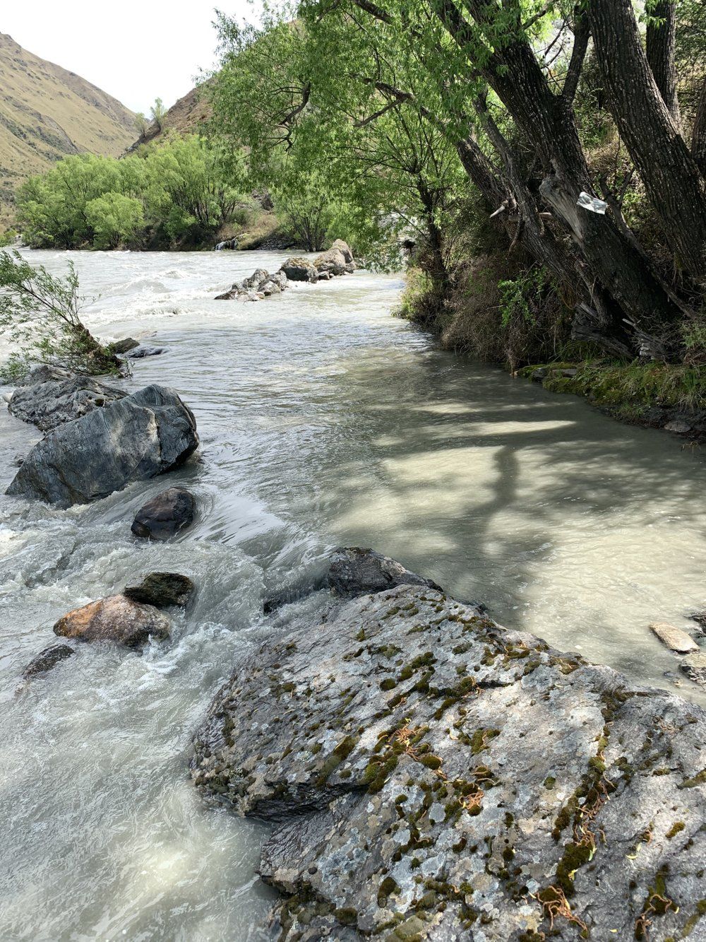 Skippers Canyon tours