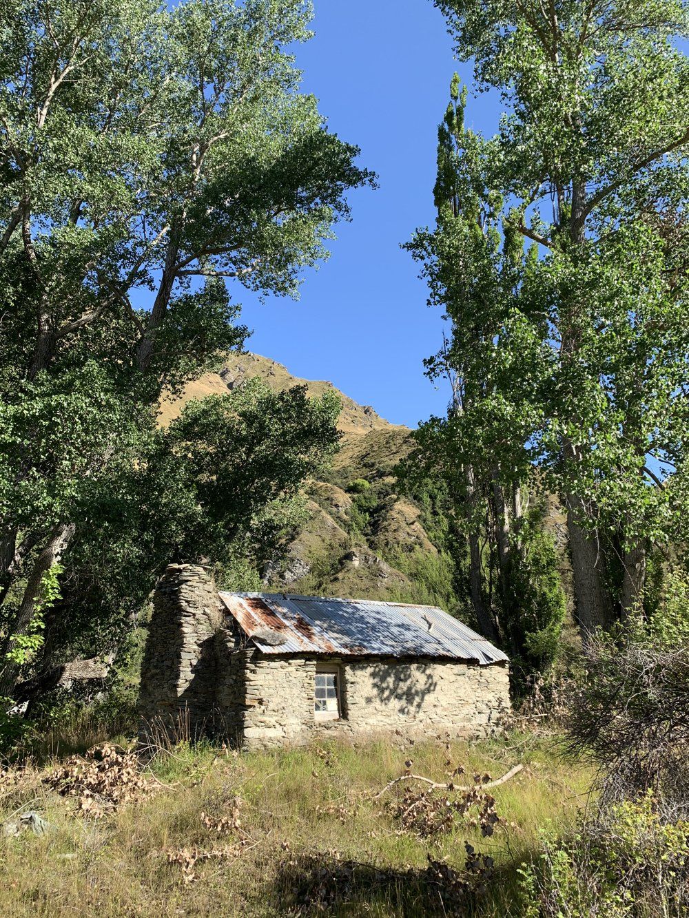 Skippers Canyon tours