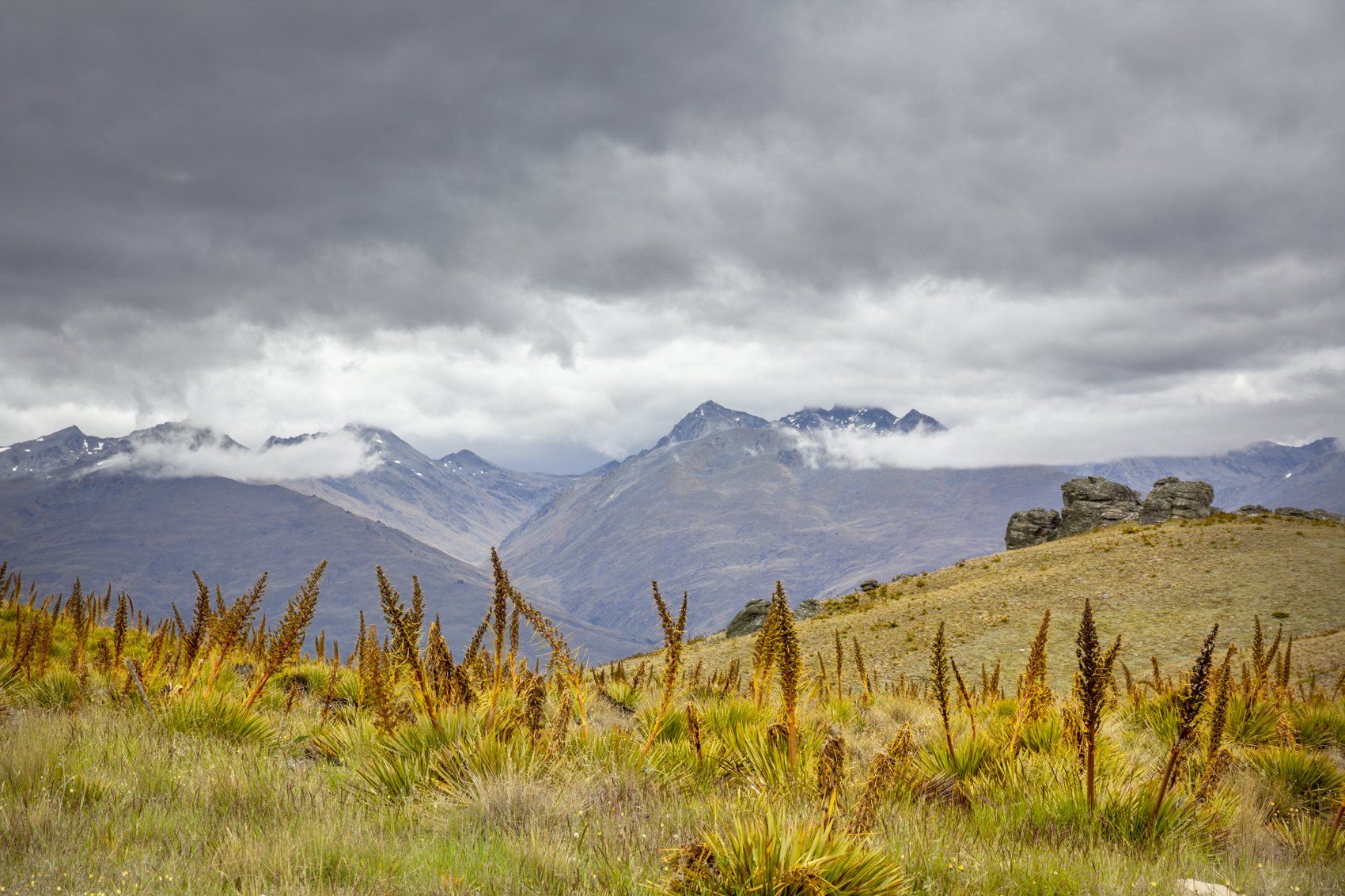 Del 4WD Expeditions Kopuwai