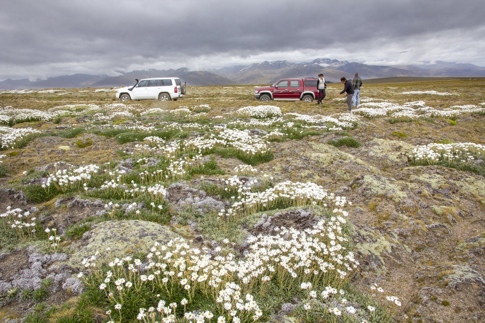 Del 4WD Expeditions Kopuwai