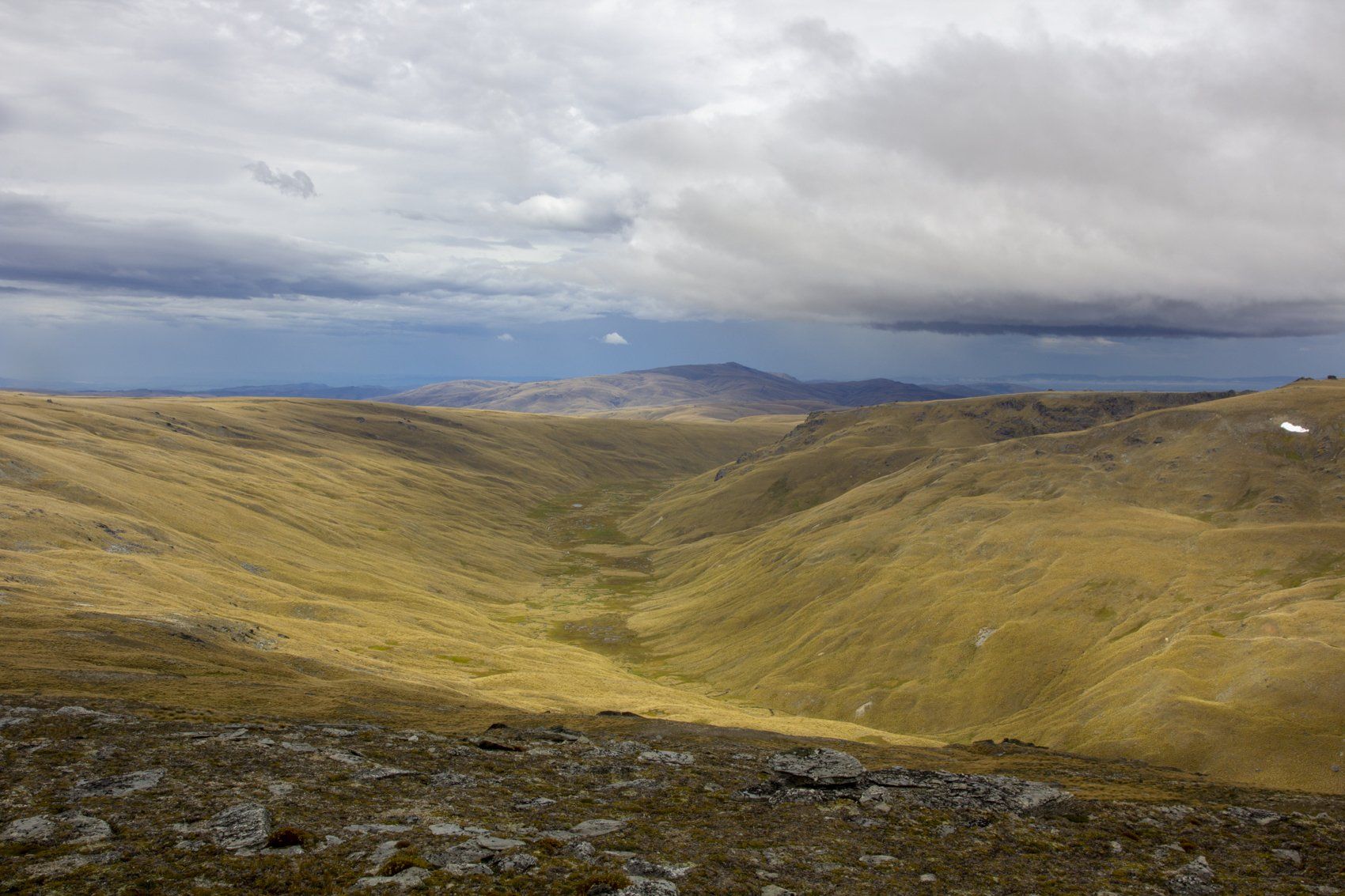 Del 4WD Expeditions Waikaia Bush Road