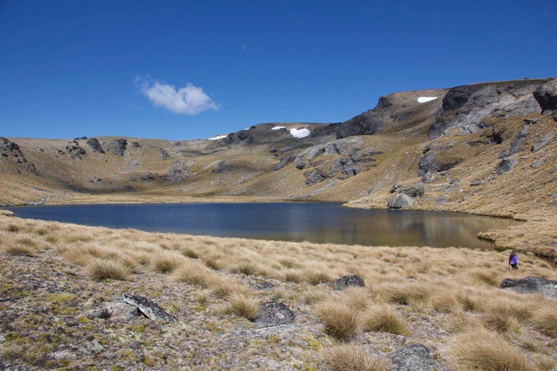 4WD Expeditions Queenstown NZ