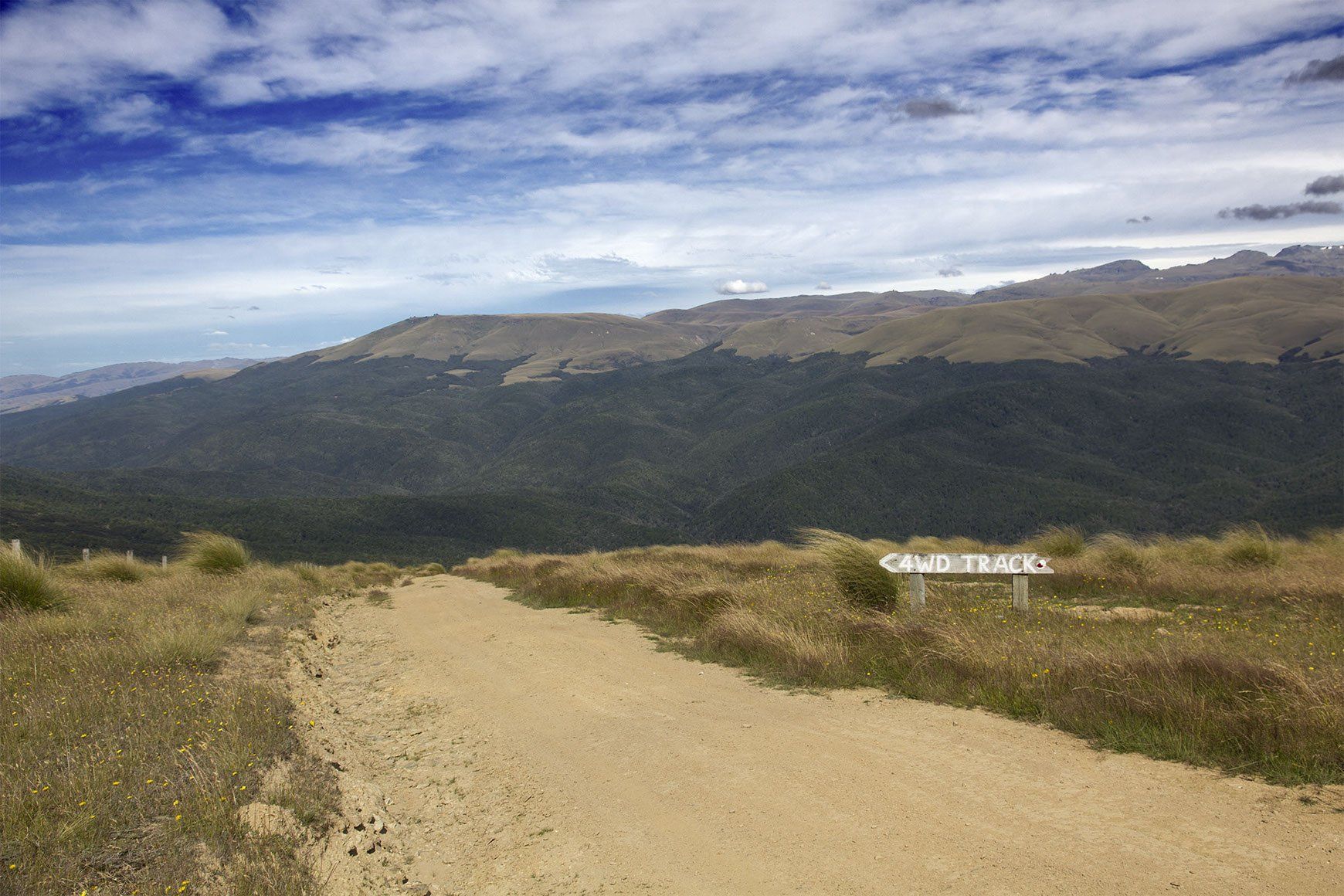 Del 4WD Expeditions Waikaia Bush Road