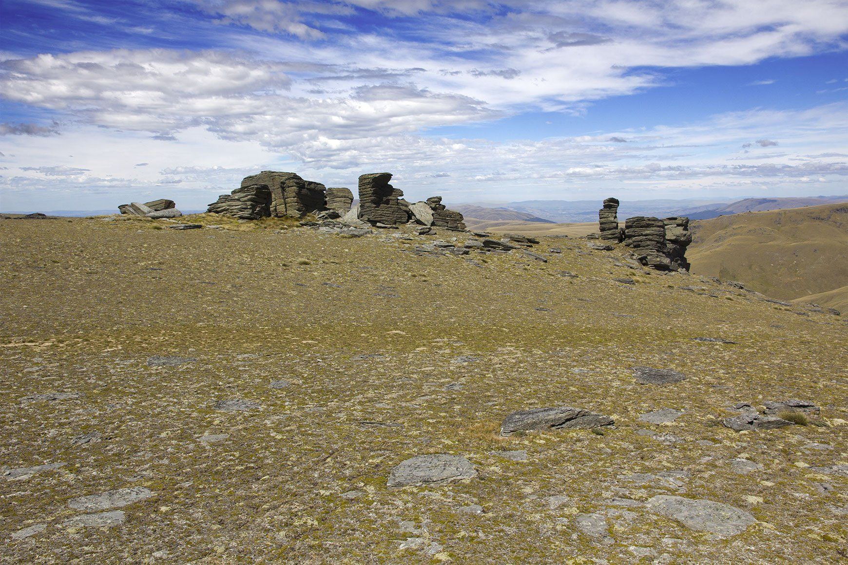 Del 4WD Expeditions Waikaia Bush Road