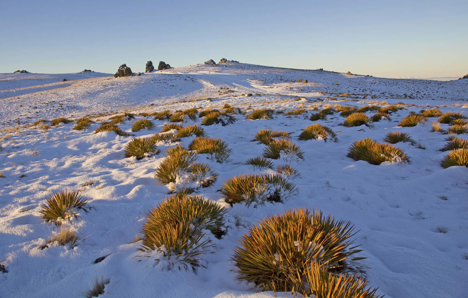 Skippers Canyon tours