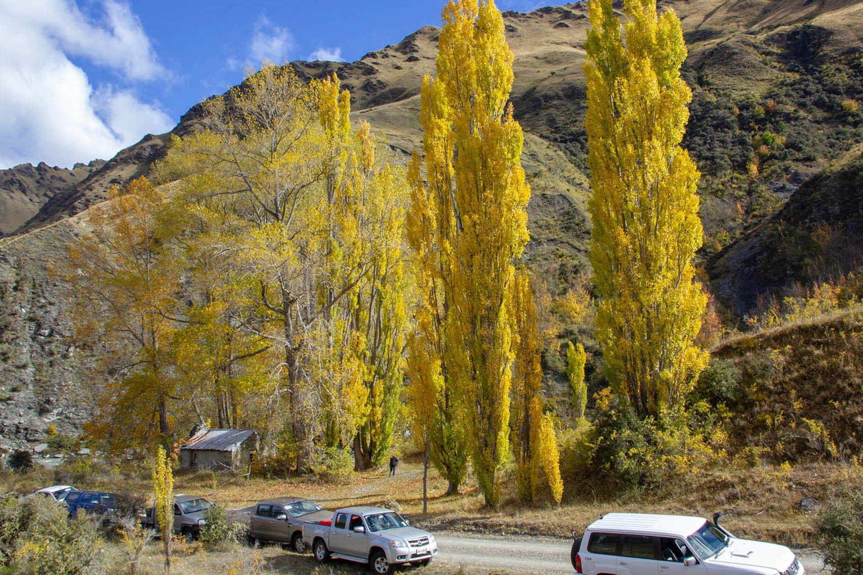 Skippers Canyon tours