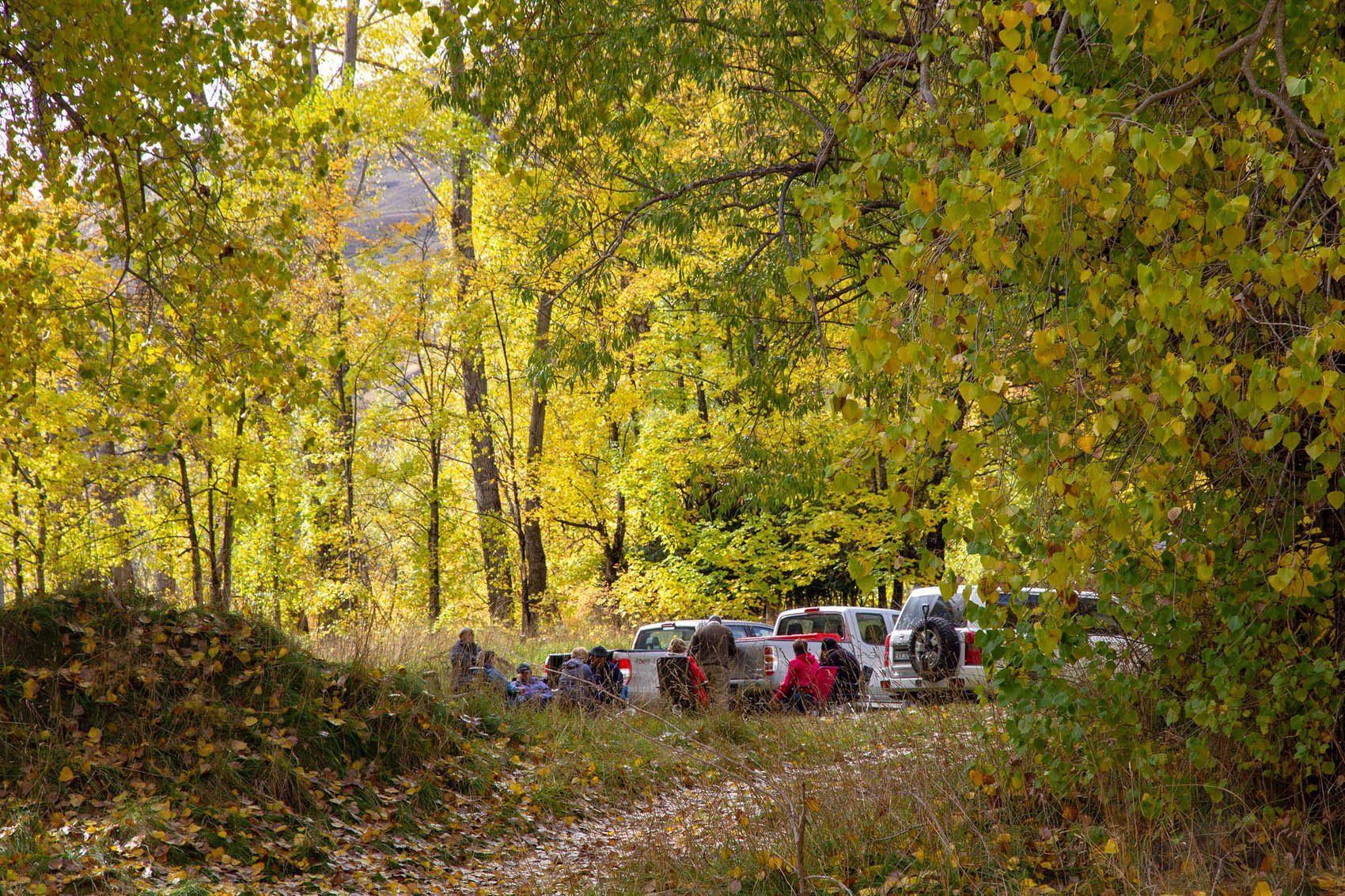 Skippers Canyon tours