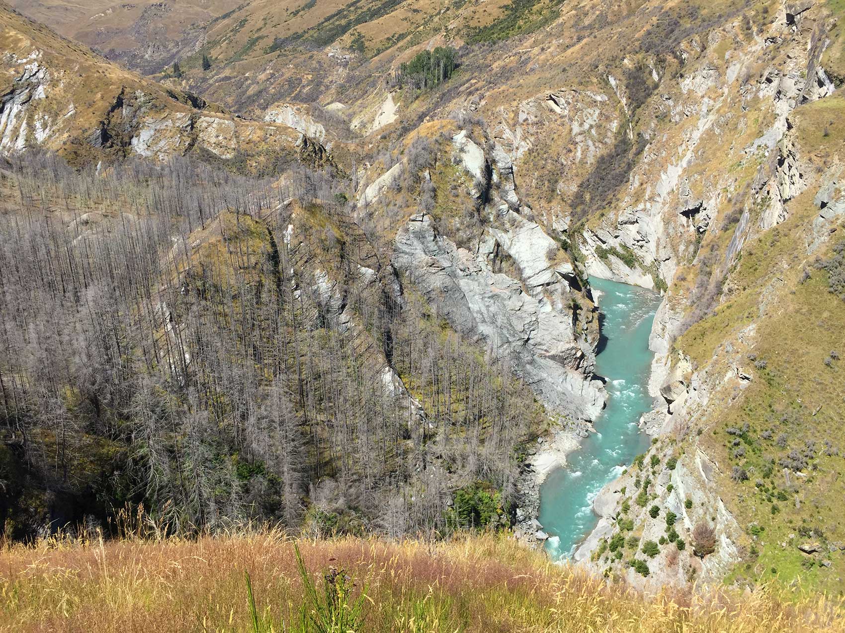 Skippers Canyon tours