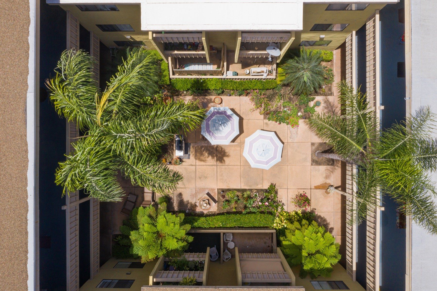 An aerial view of a courtyard with umbrellas and palm trees.