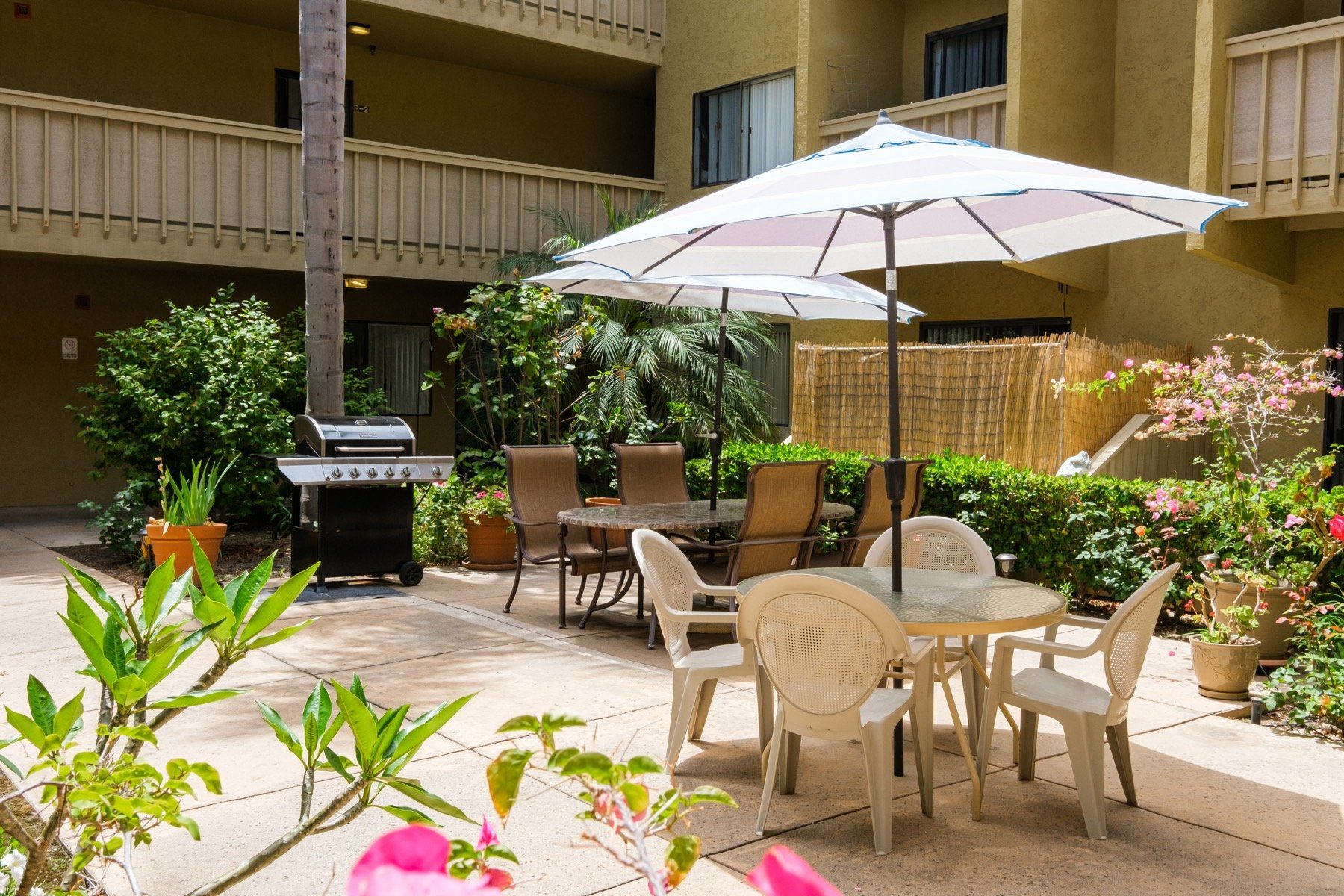A patio with tables and chairs and umbrellas in front of a building