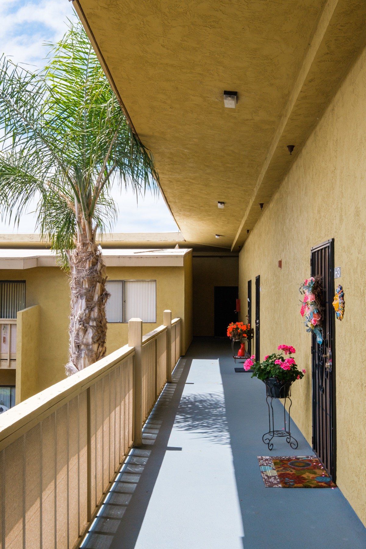 A hallway between two buildings with a palm tree in the background