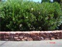 Stone retainer wall - rock products in Tucson, AZ Stone retainer wall - rock products in Tucson, AZ
