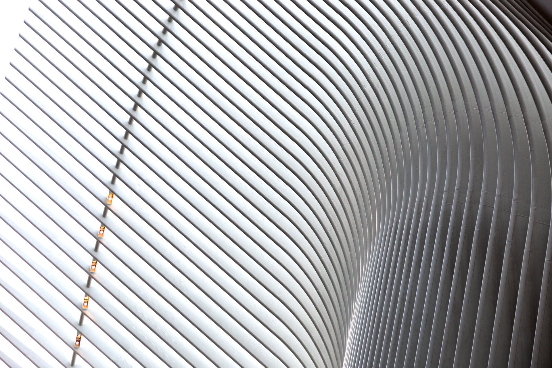 Abstract architectural detail: curving, parallel, white lines.