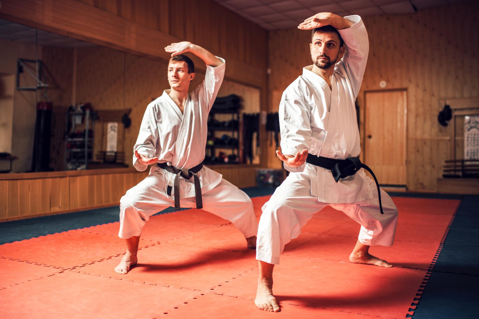 Two people practicing karate