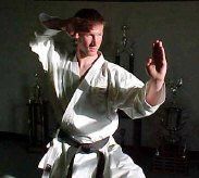 Man practicing karate