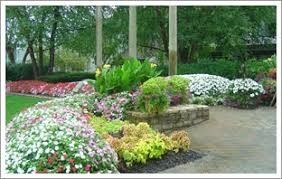 One time clean up, spring — Cordova, CA — Quality Landscape Inc.