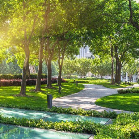 Commercial Maintenance  — Cordova, CA — Quality Landscape Inc.