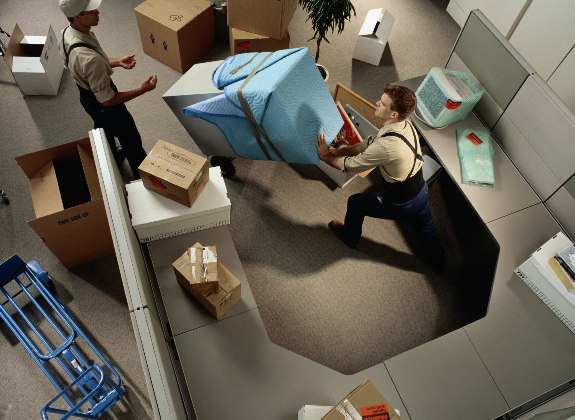 RELOCATION