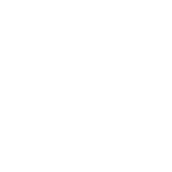 White Dell logo