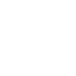 White Cisco logo