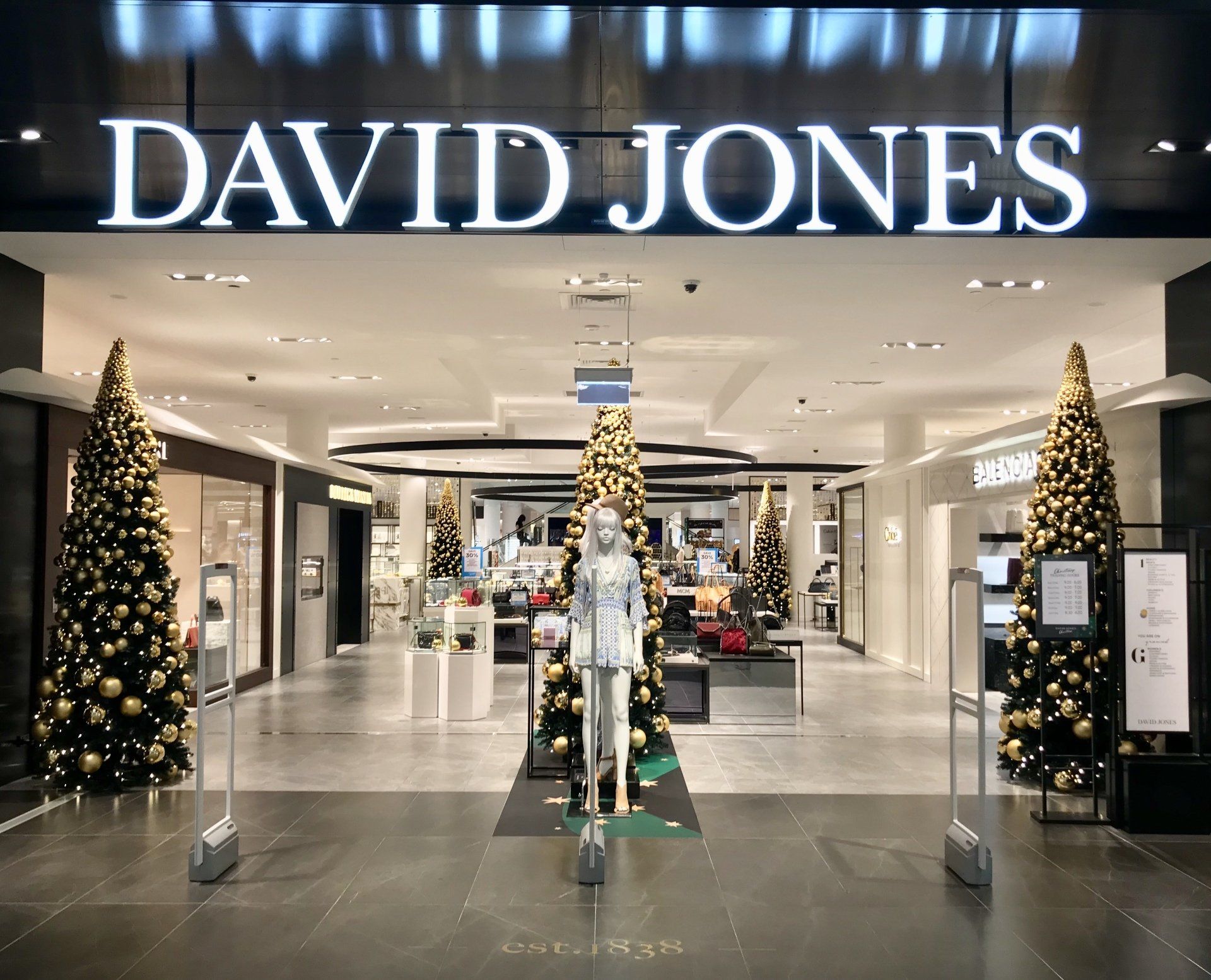 David Jones shopfront image