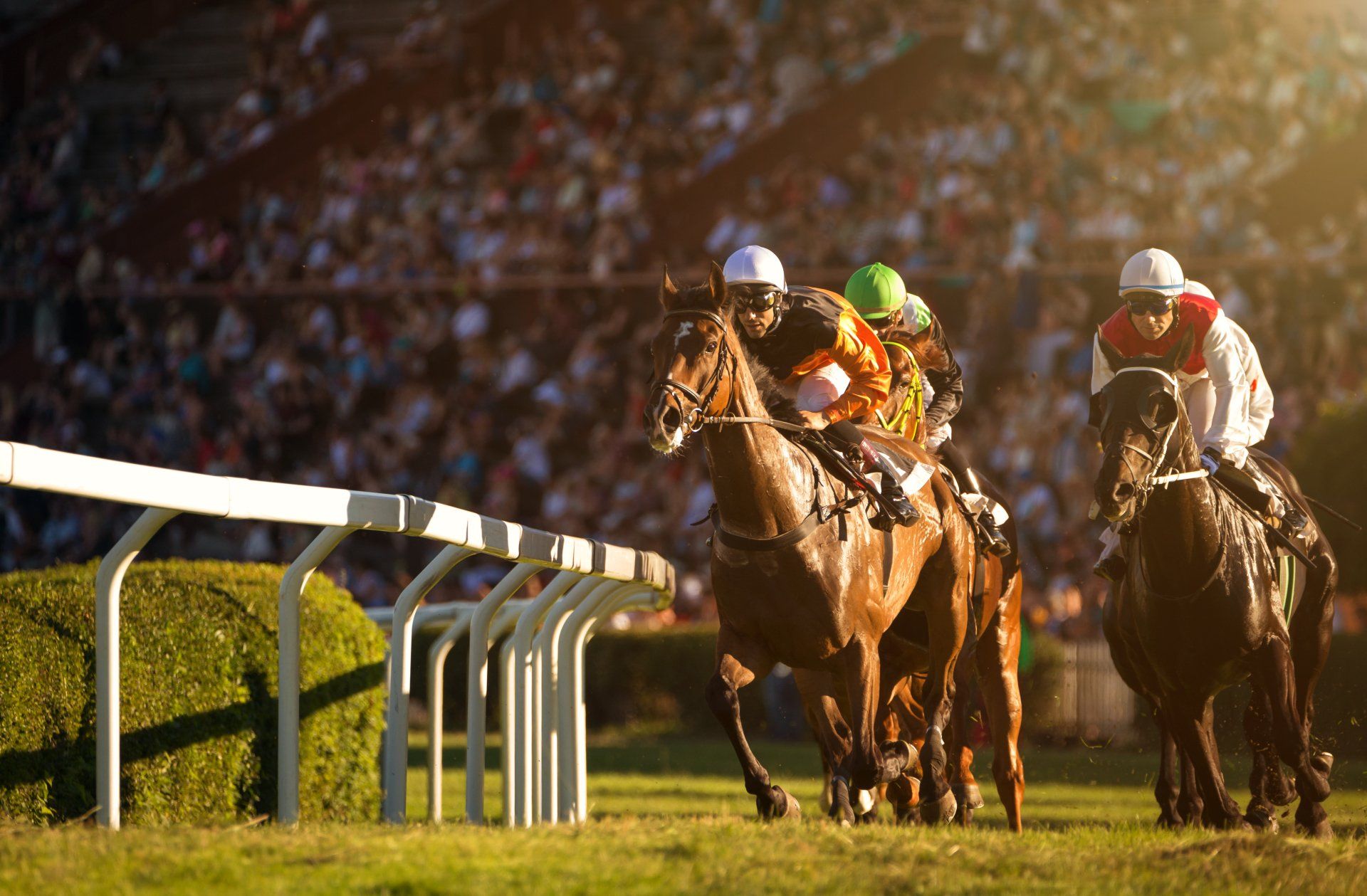 Horse racing image