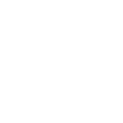White HP logo