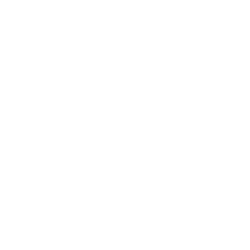White Lenovo logo