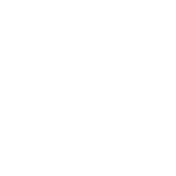 White Microsoft logo
