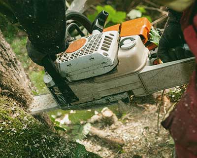 Man with chainsaw - Tree Removal in Great Falls, MT