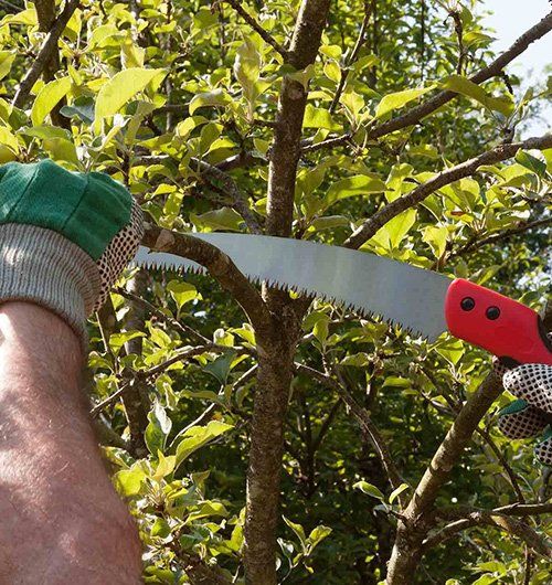 Man Holding Drill Tool