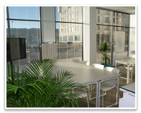 Motorised Blinds Motorized Blinds